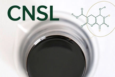 CNSL (کاجو نٹ شیل مائع): استعمال، فوائد، خواص اور اطلاقات